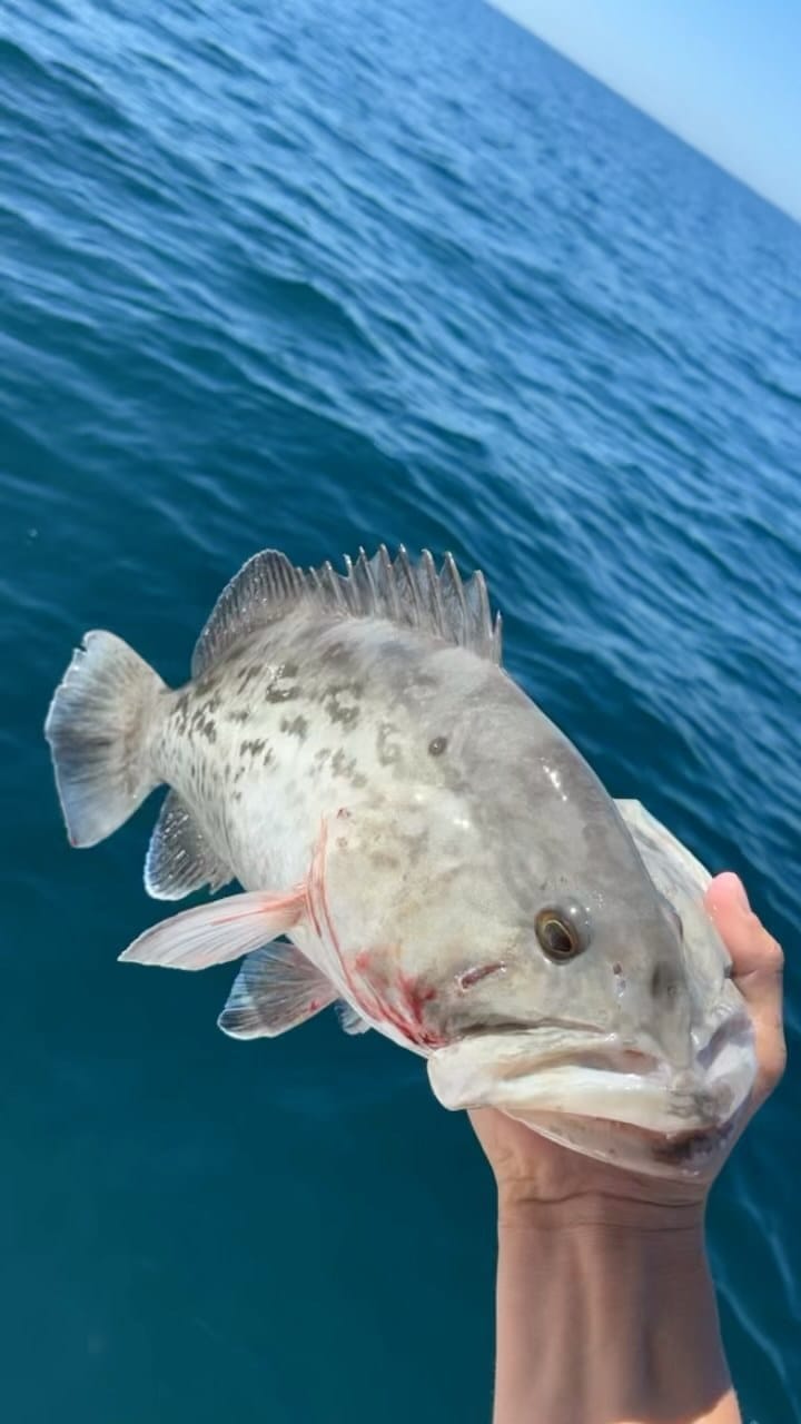 Post 1 by FishingNH on Instagram (video)