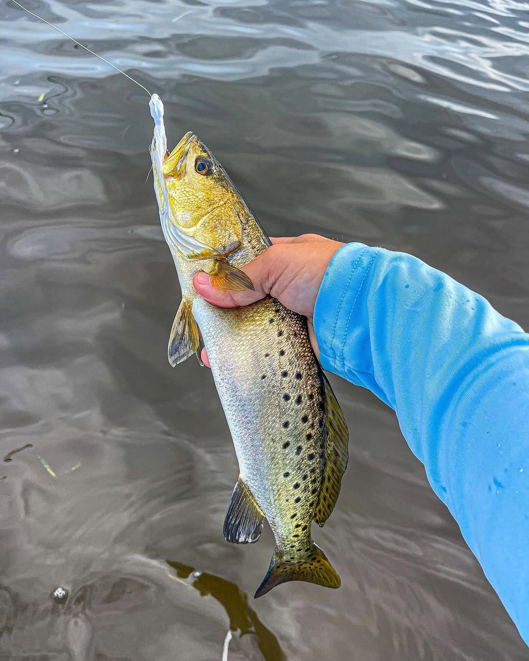 Post 6 by FishingNH on Instagram (image)