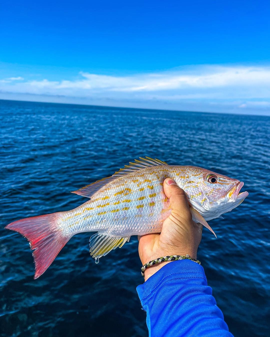 Post 7 by FishingNH on Instagram (carousel)