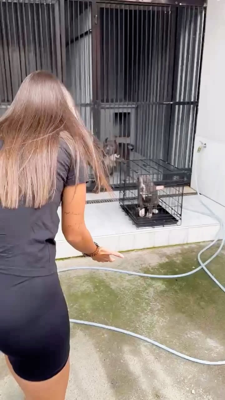 Post 7 by 🐾Shadow of the moon🐾 on Instagram (video)