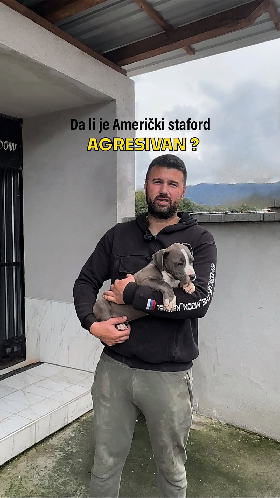 Post 5 by 🐾Shadow of the moon🐾 on Instagram (video)