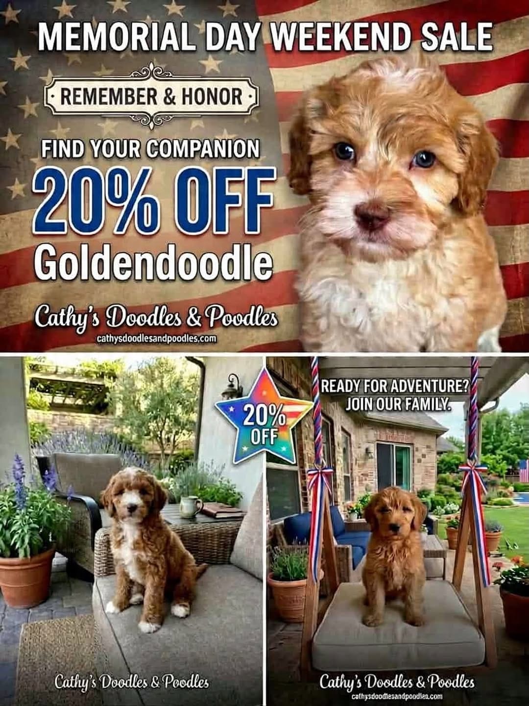 Post 4 by Cathys Doodles and Poodles, Las Vegas doodles on Instagram (image)