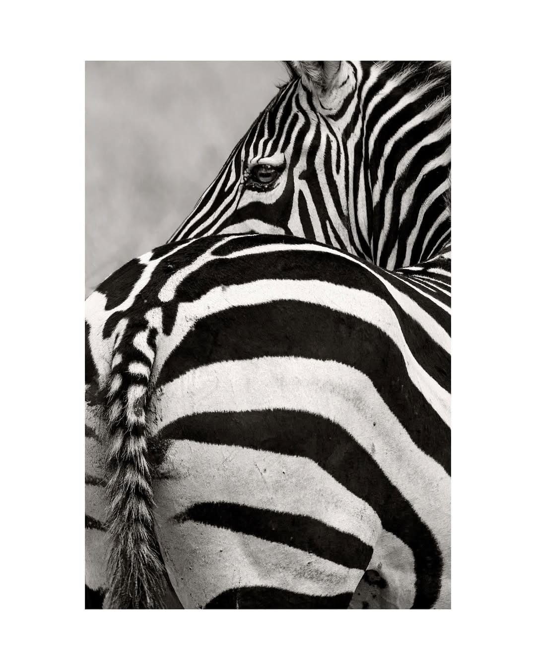 Post 8 by John Barclay on Instagram (image)
