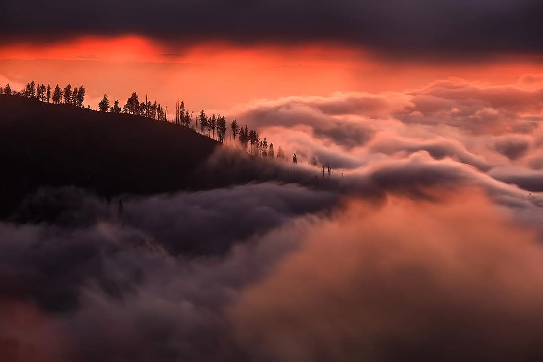 Post 10 by John Barclay on Instagram (image)