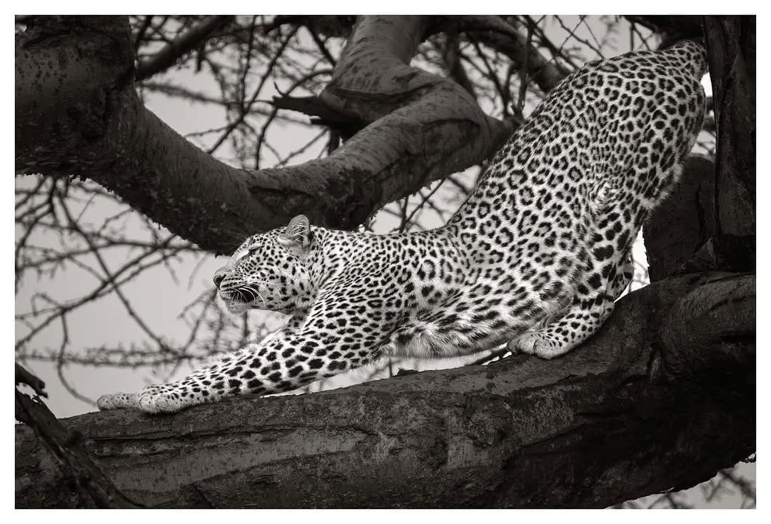 Post 9 by John Barclay on Instagram (image)
