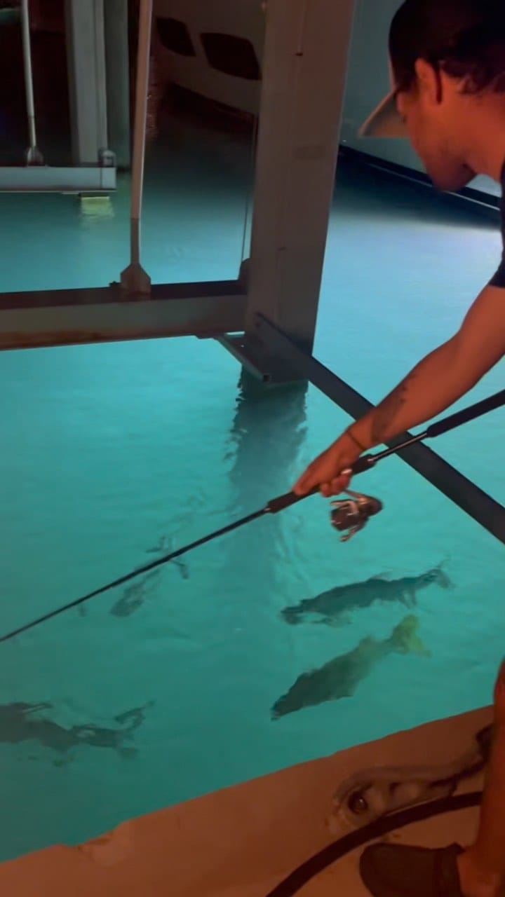 Post 3 by Sebastian Fraguela on Instagram (video)