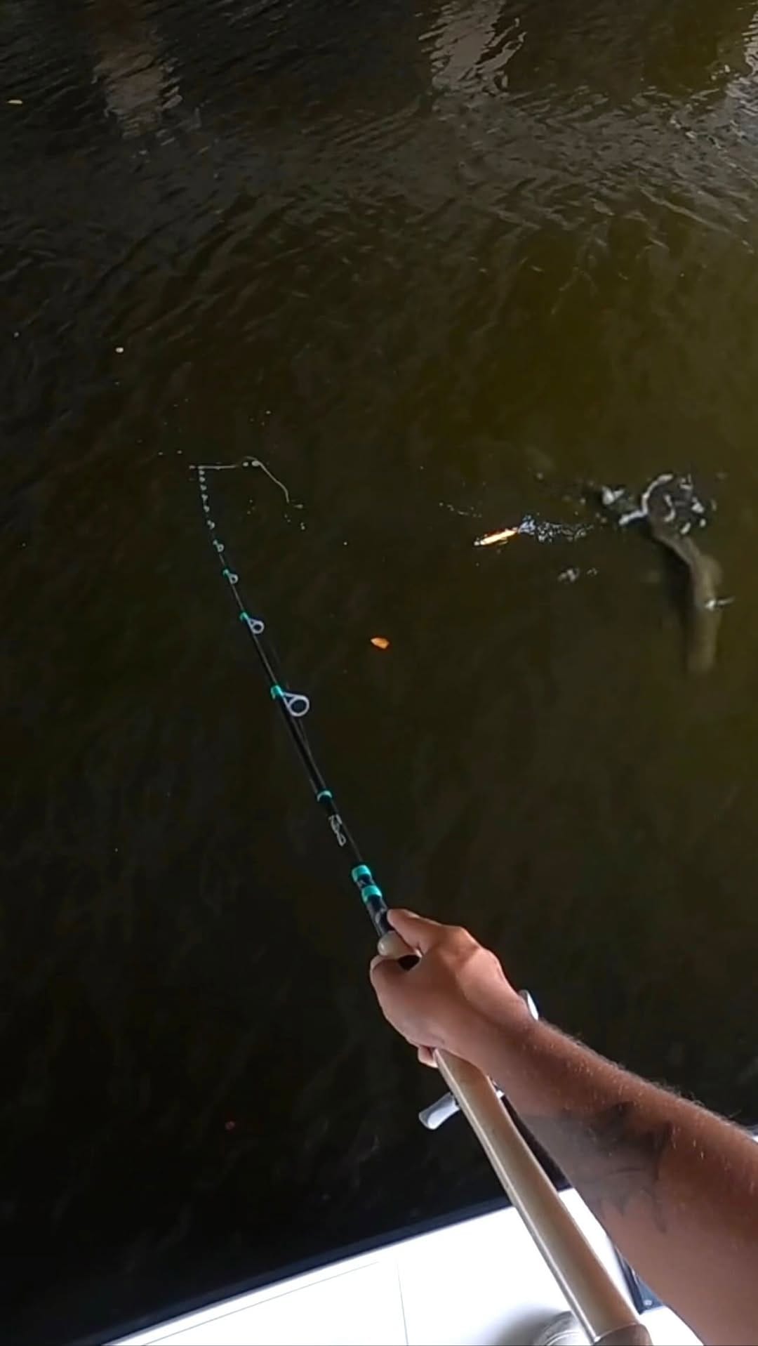 Post 2 by Sebastian Fraguela on Instagram (video)
