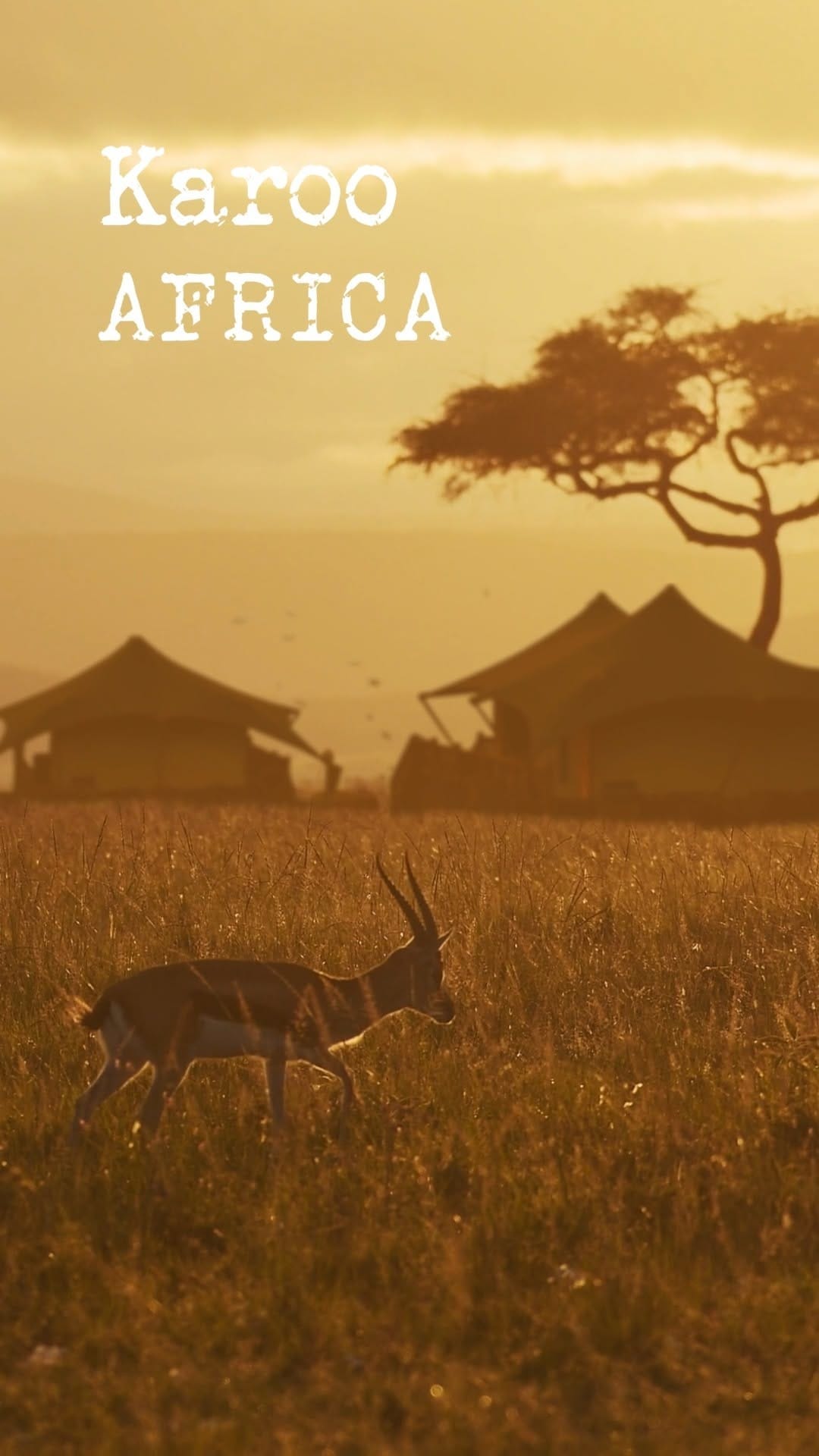 Post 10 by Karoo Resort and Lodge on Instagram (video)