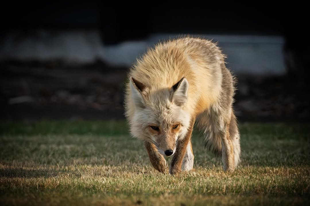 Post 3 by George Bolander on Instagram (image)