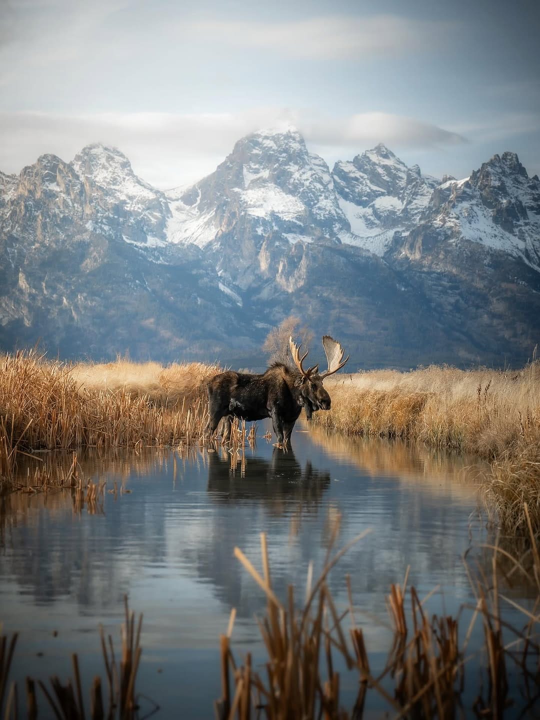 Post 8 by George Bolander on Instagram (image)