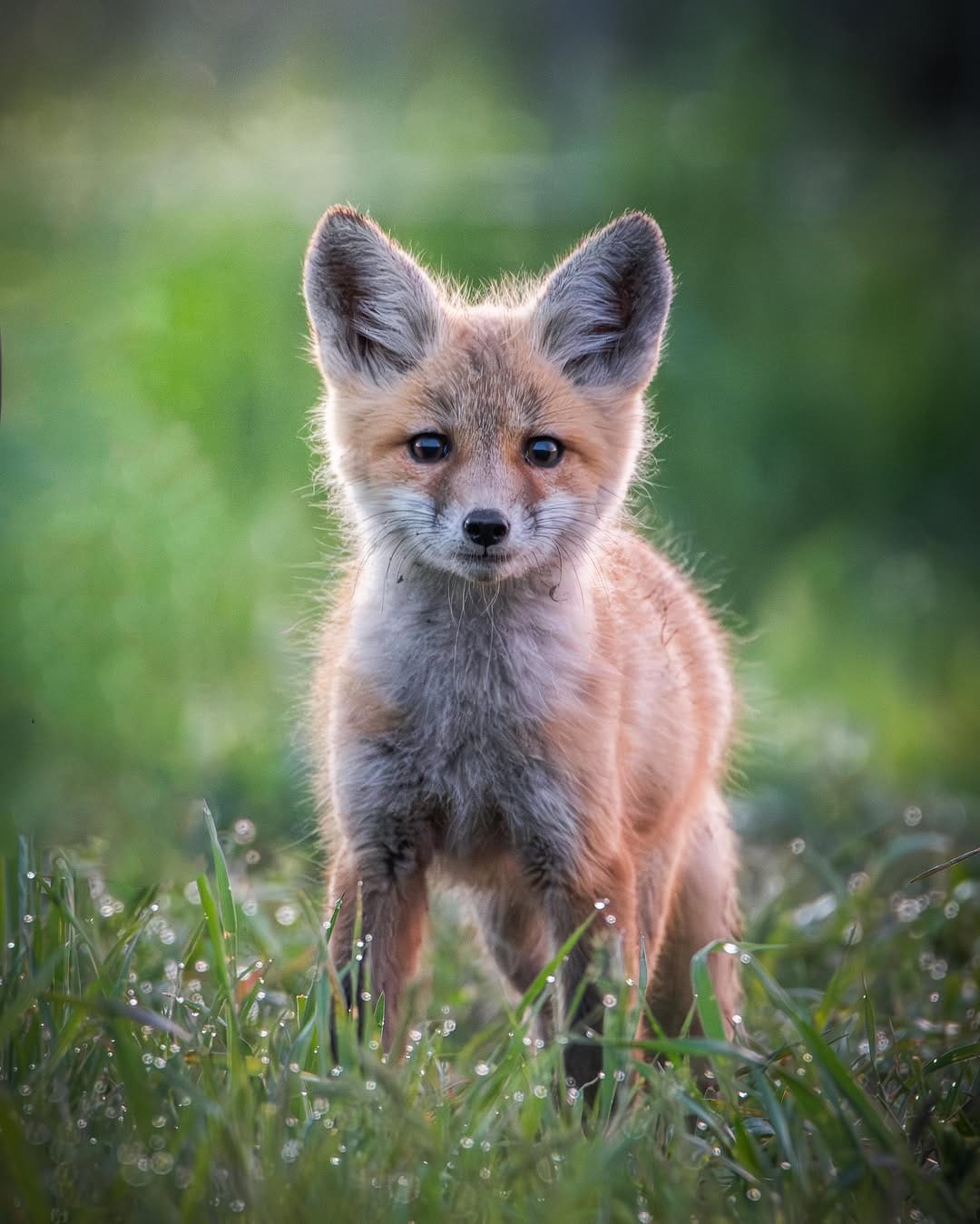 Post 2 by George Bolander on Instagram (image)