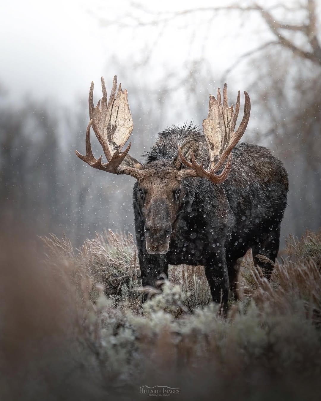 Post 10 by George Bolander on Instagram (image)