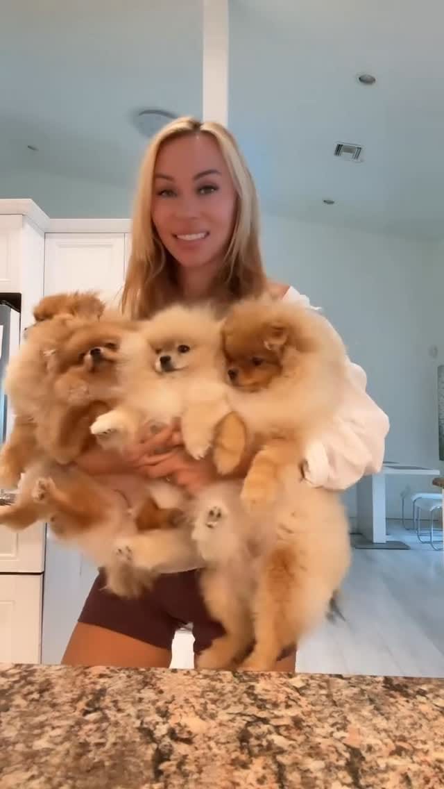 Post 5 by Natalia Karlionava| Vitorio Rossi Poms on Instagram (video)
