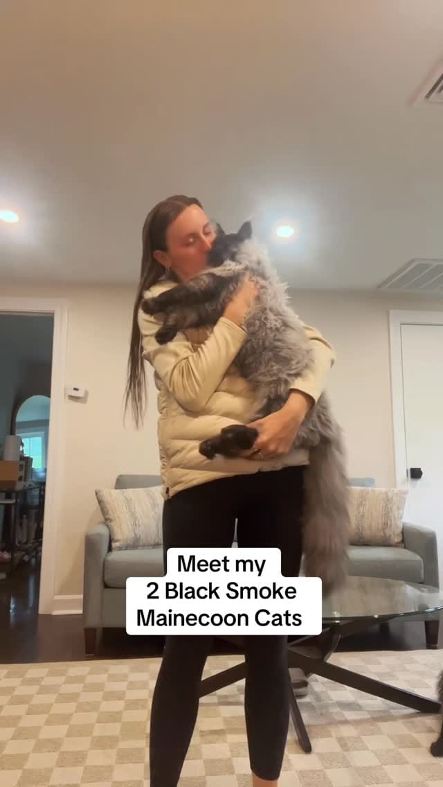 Post 9 by WOLFE on Instagram (video)