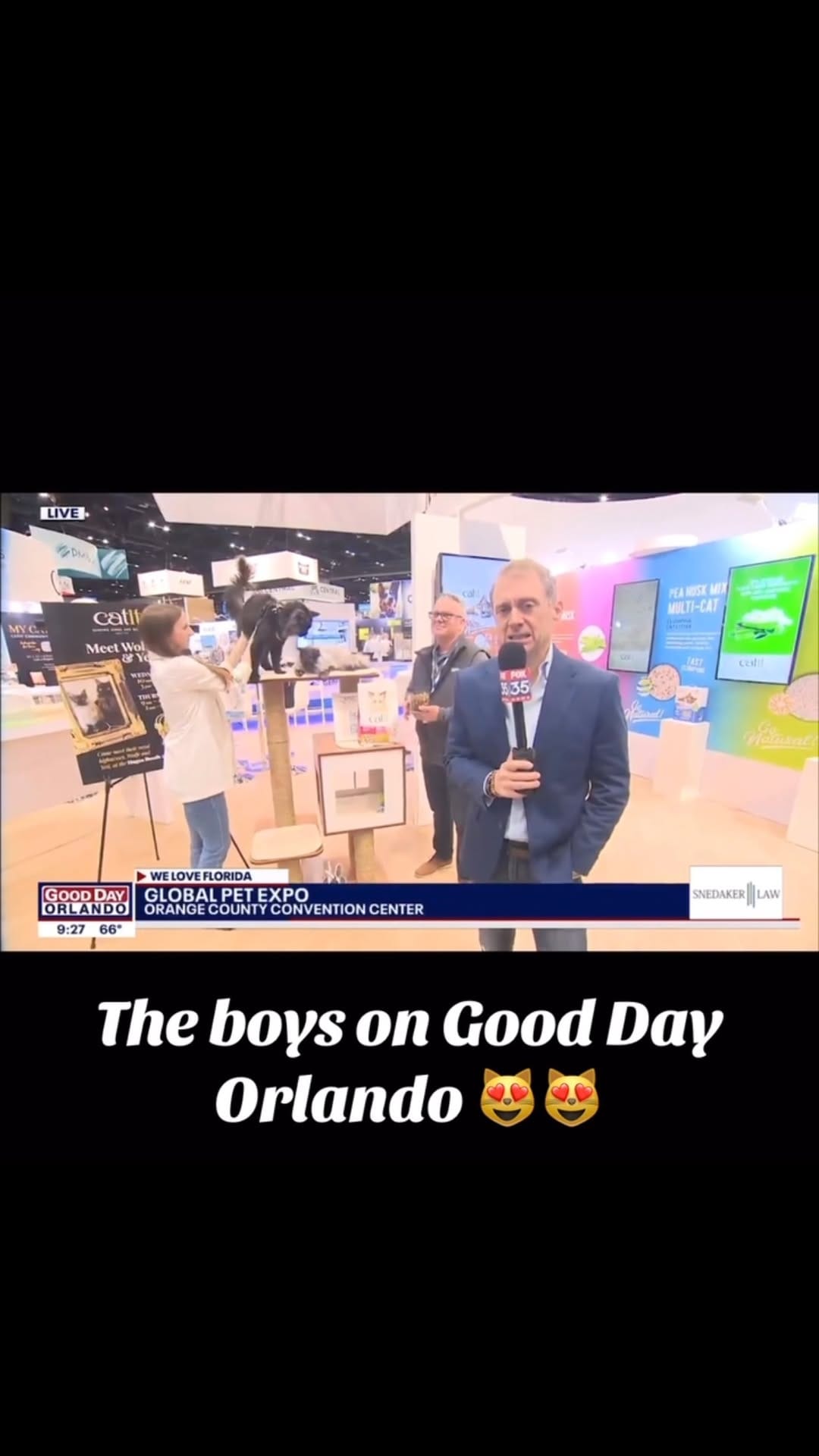 Post 10 by WOLFE on Instagram (video)