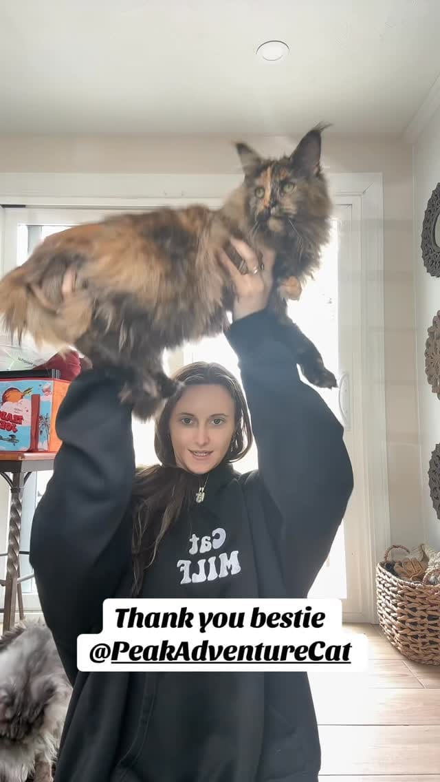 Post 4 by WOLFE on Instagram (video)