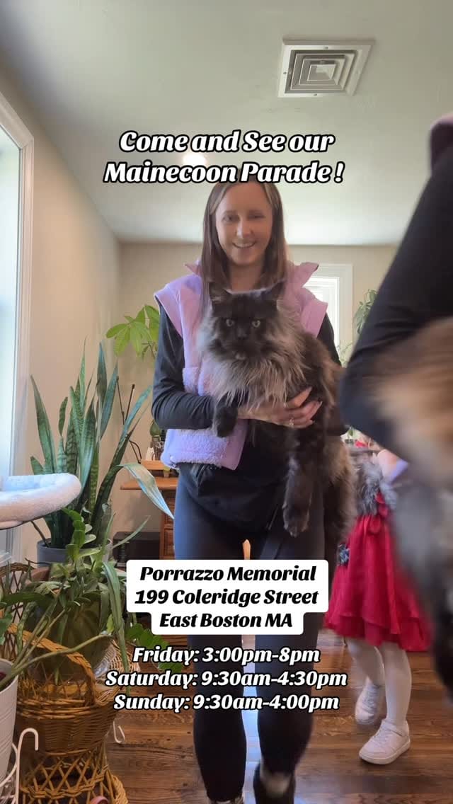 Post 7 by WOLFE on Instagram (video)