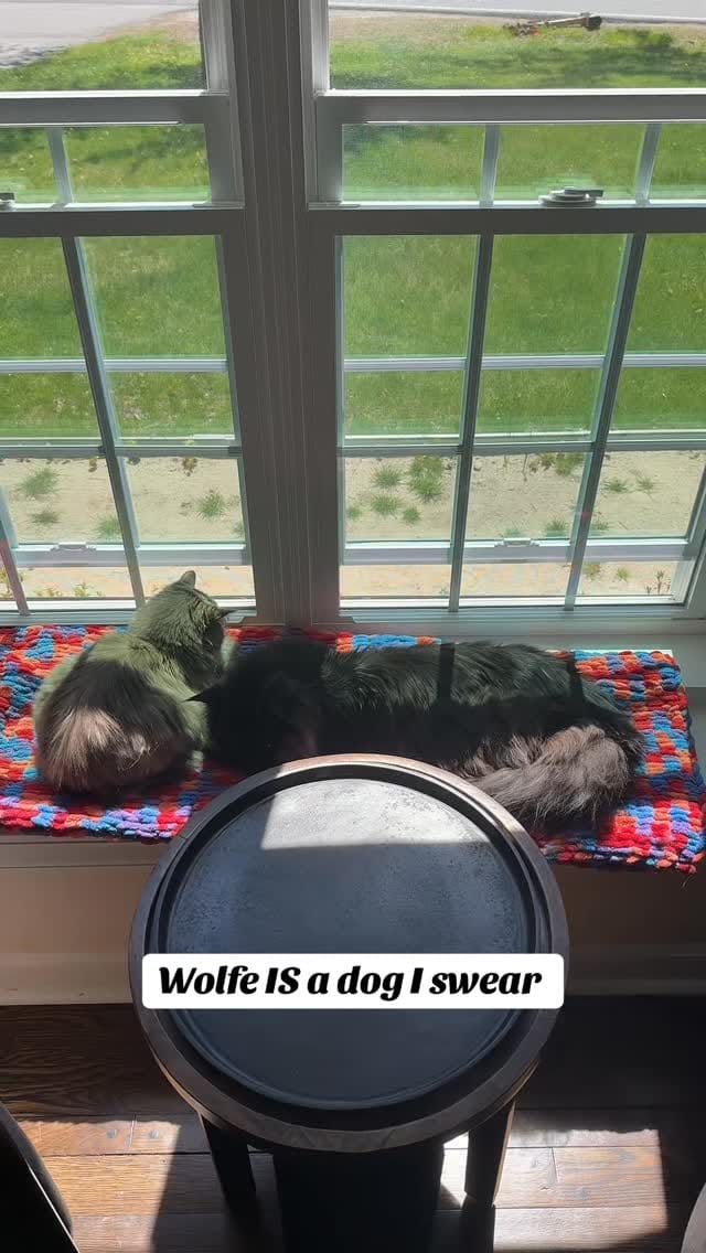Post 5 by WOLFE on Instagram (video)