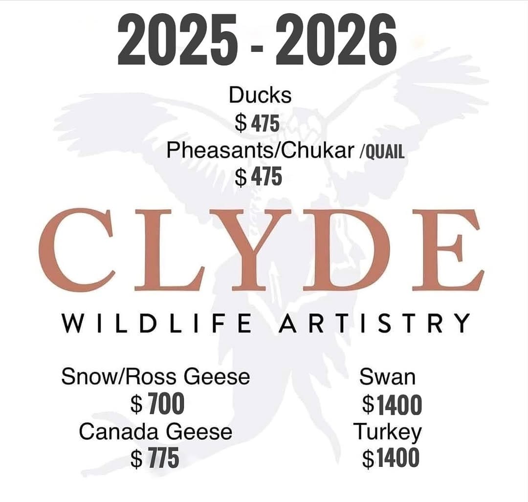 Post 10 by Clyde Wildlife Artistry on Instagram (image)