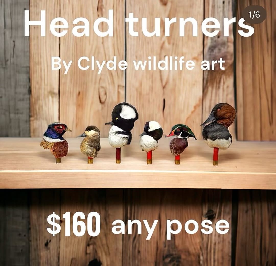 Post 9 by Clyde Wildlife Artistry on Instagram (image)