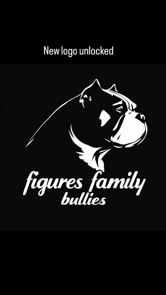 Post 8 by Figures Family bullies LLC on Instagram (video)