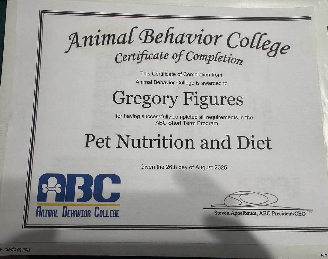 Post 4 by Figures Family bullies LLC on Instagram (image)