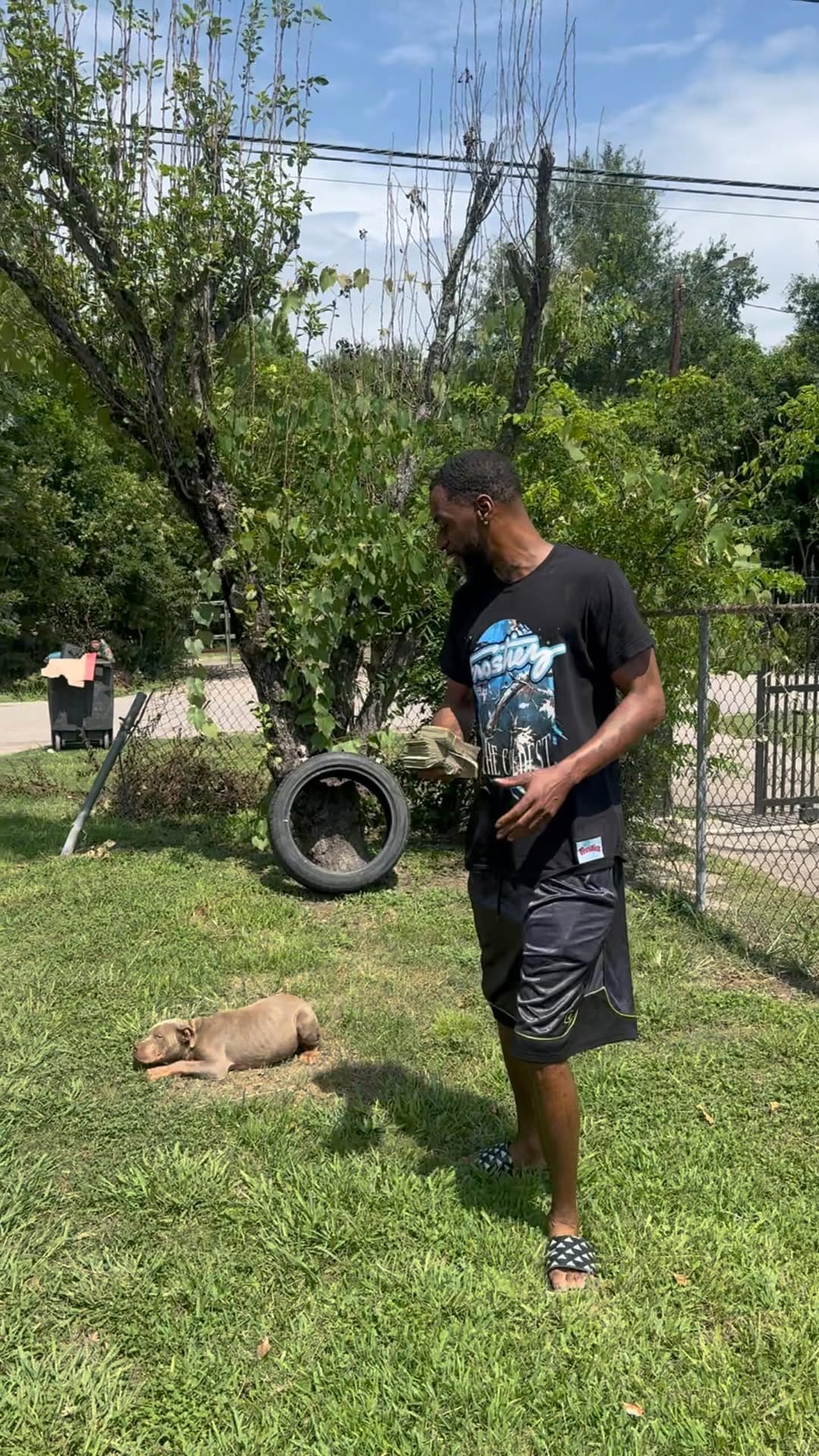 Post 10 by Figures Family bullies LLC on Instagram (video)