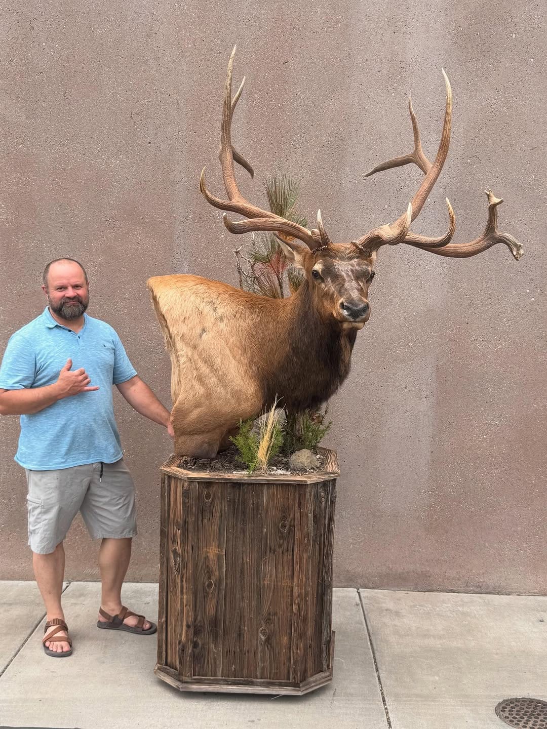 Post 2 by Tolman Taxidermy on Instagram (carousel)
