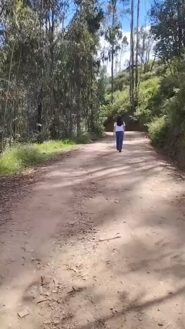Post 2 by IEI PERU on Instagram (video)