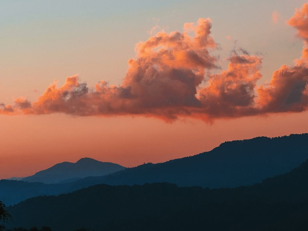 Post 1 by Brandon Hook on Instagram (image)