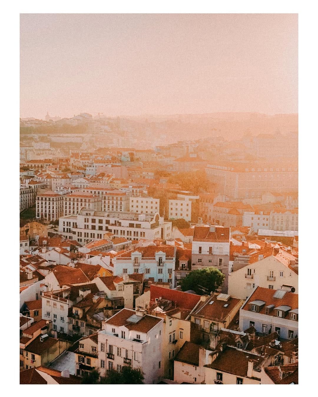 Post 10 by Brandon Hook on Instagram (image)