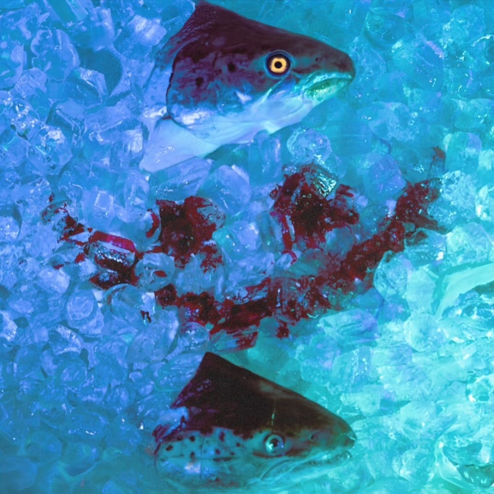 Post 8 by Jay Karales on Instagram (image)