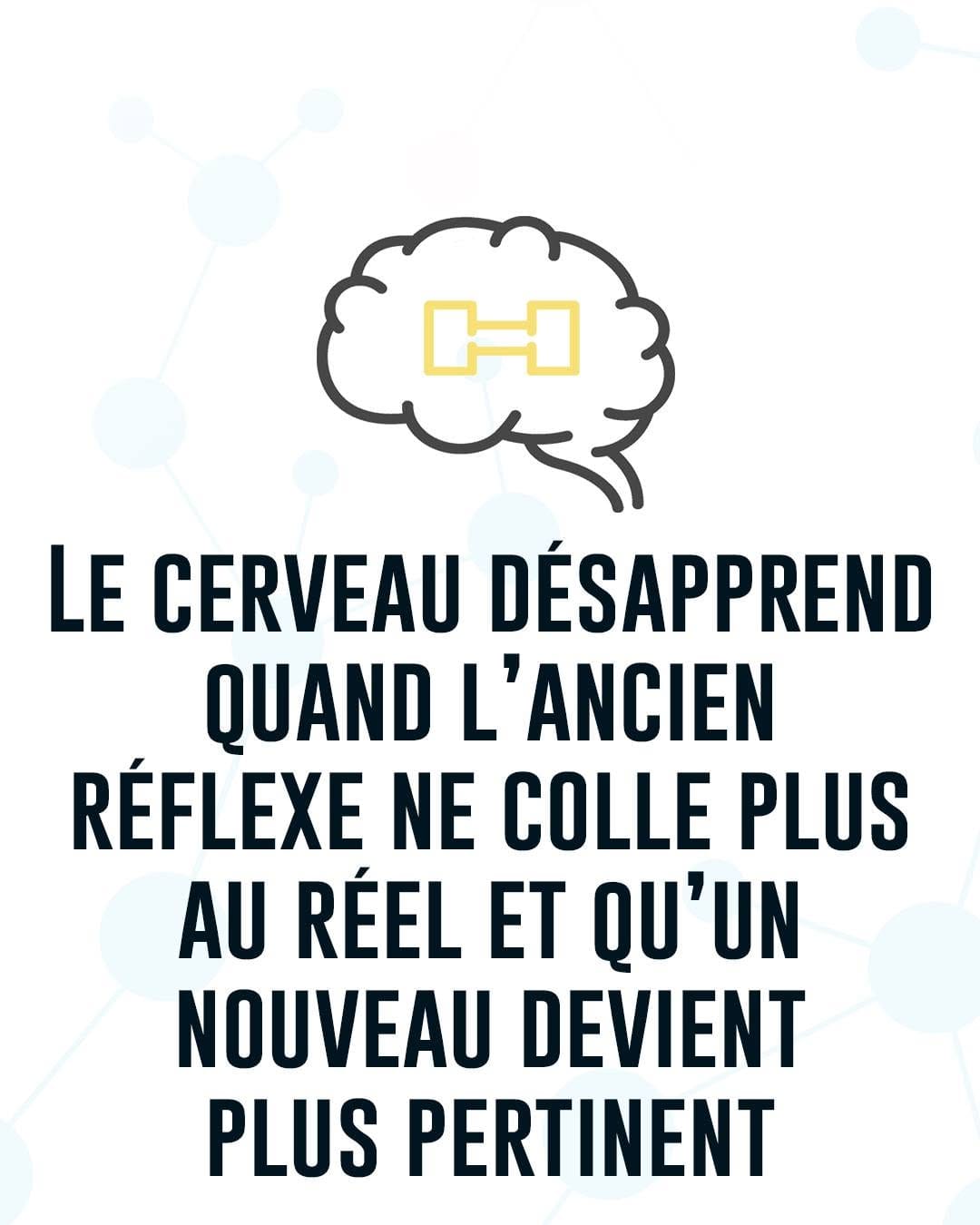 Post 1 by synaptikxx | NeuroLogique on Instagram (carousel)