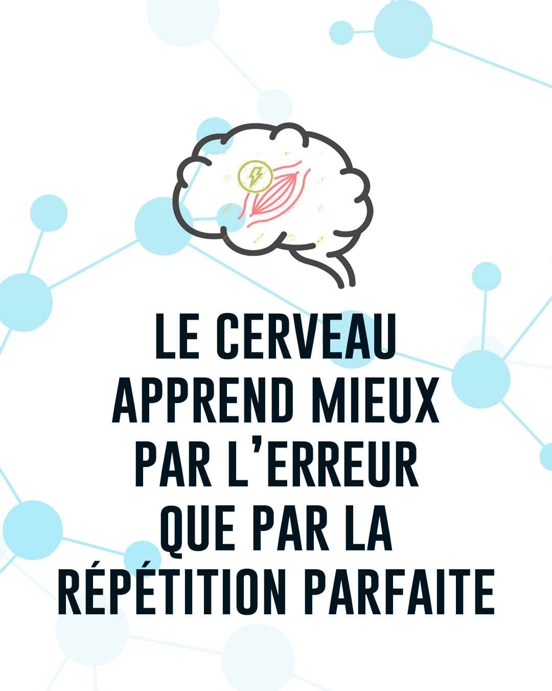 Post 3 by synaptikxx | NeuroLogique on Instagram (carousel)
