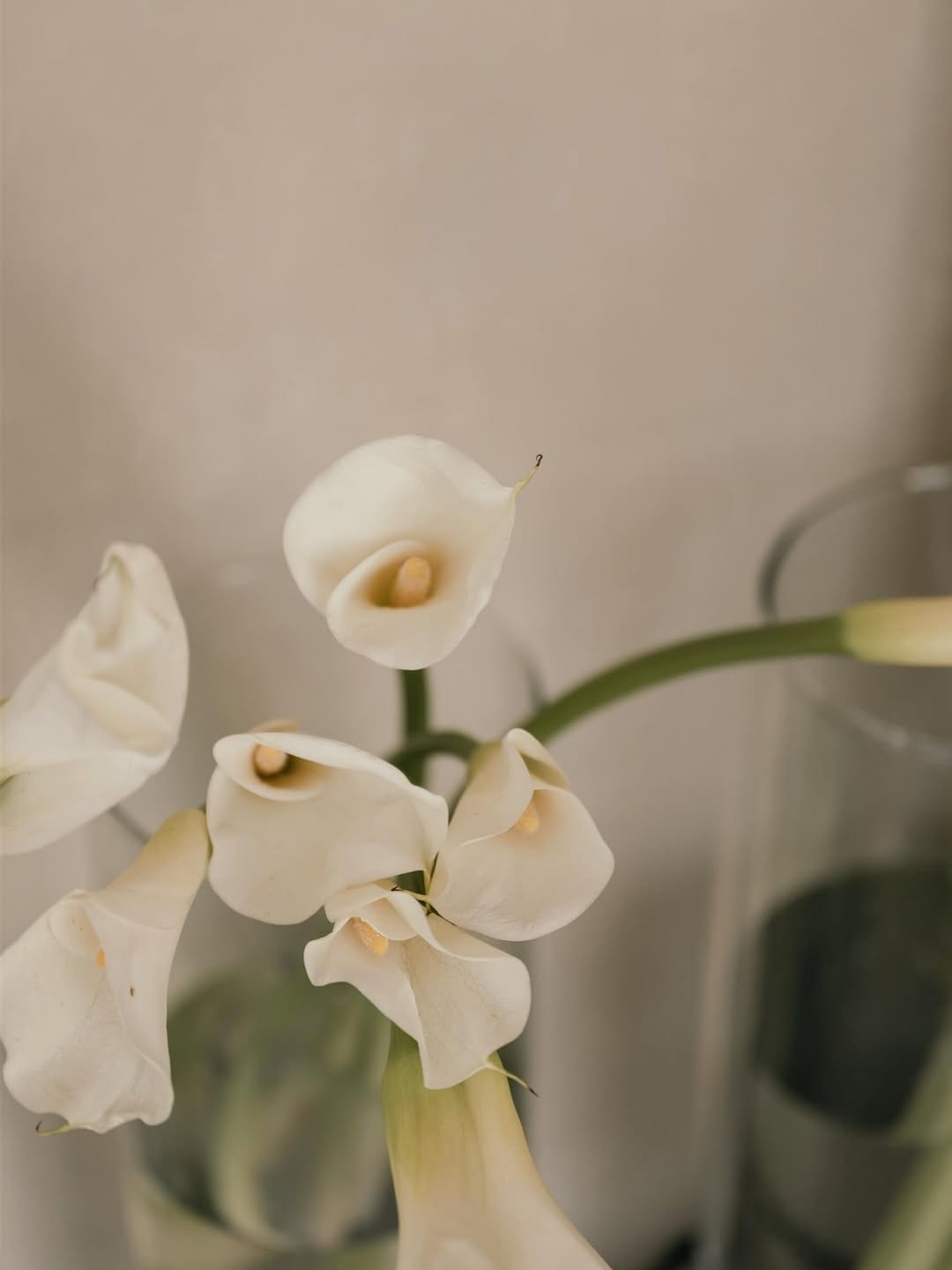 Post 9 by VALCETTI | Destination Wedding Photographer | on Instagram (image)
