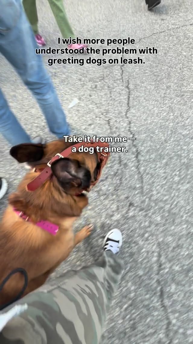 Post 2 by Kelsey Lyn on Instagram (video)