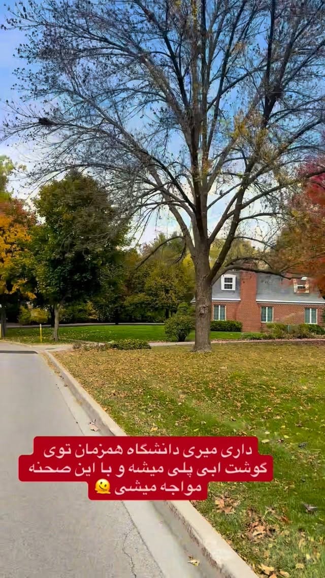 Post 6 by Shayan shafiei on Instagram (video)