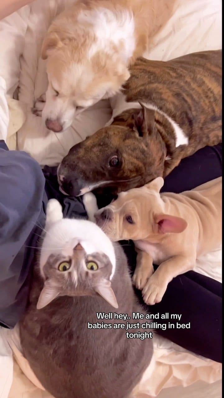 Post 1 by Dani K on Instagram (video)