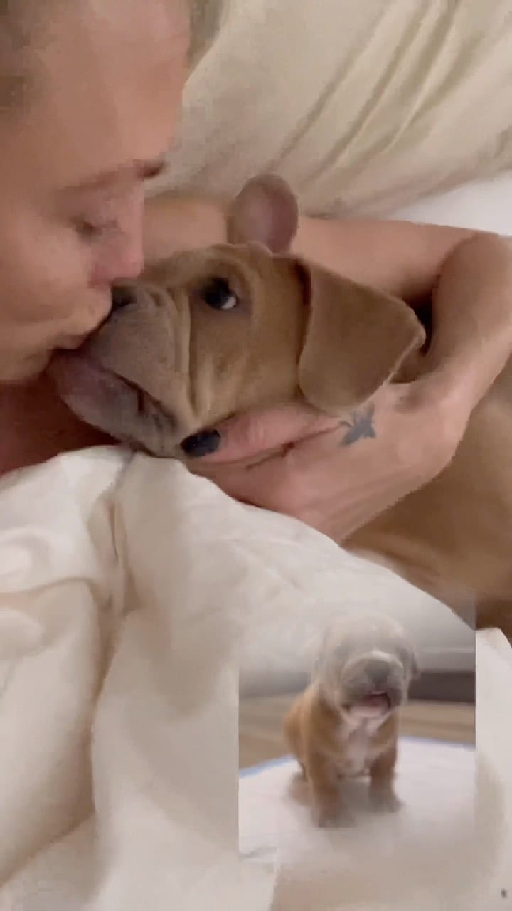 Post 4 by Dani K on Instagram (video)