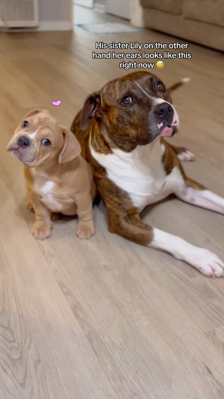 Post 6 by Dani K on Instagram (video)