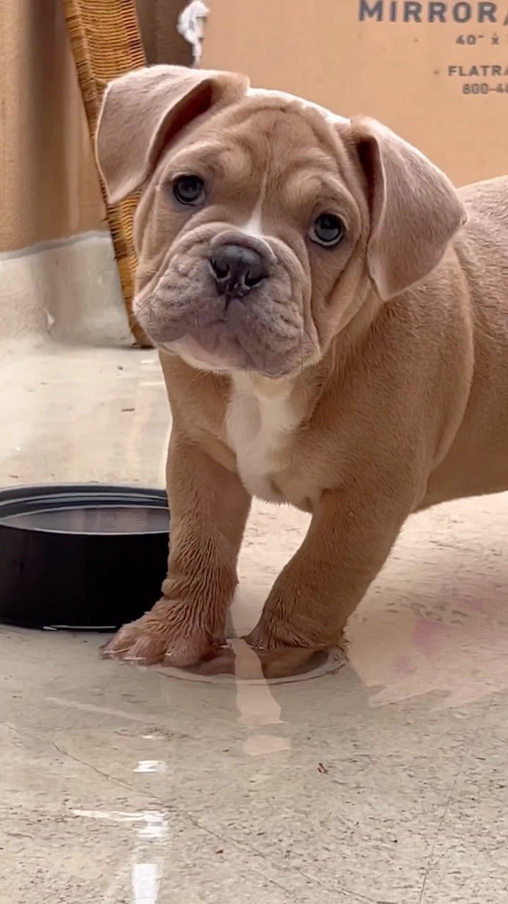 Post 8 by Dani K on Instagram (video)