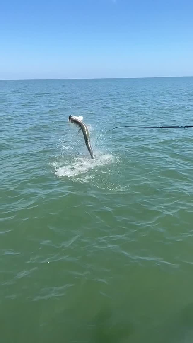 Post 8 by Southeastern Angling on Instagram (video)