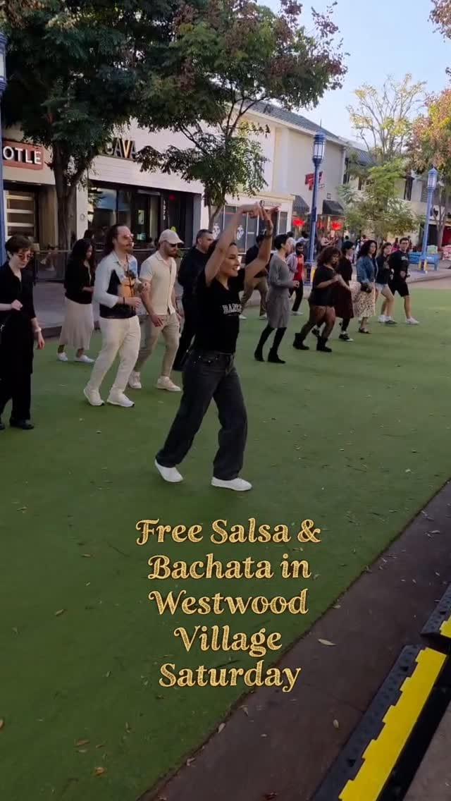 Post 4 by 𝐒𝐚𝐥𝐬𝐚 𝐂𝐡𝐫𝐨𝐧𝐢𝐜𝐥𝐞𝐬 on Instagram (video)