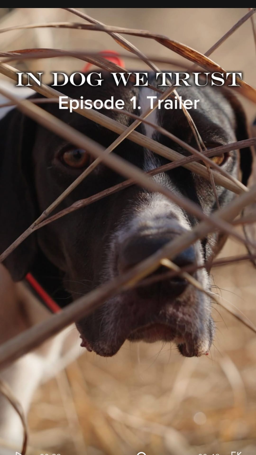 Post 8 by Carter 🐻 Wilde on Instagram (video)