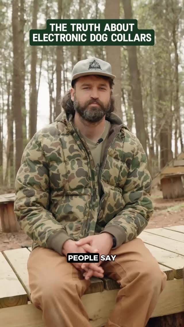 Post 7 by Carter 🐻 Wilde on Instagram (video)