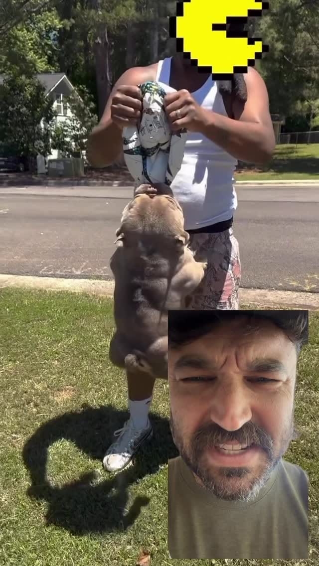 Post 4 by Carter 🐻 Wilde on Instagram (video)