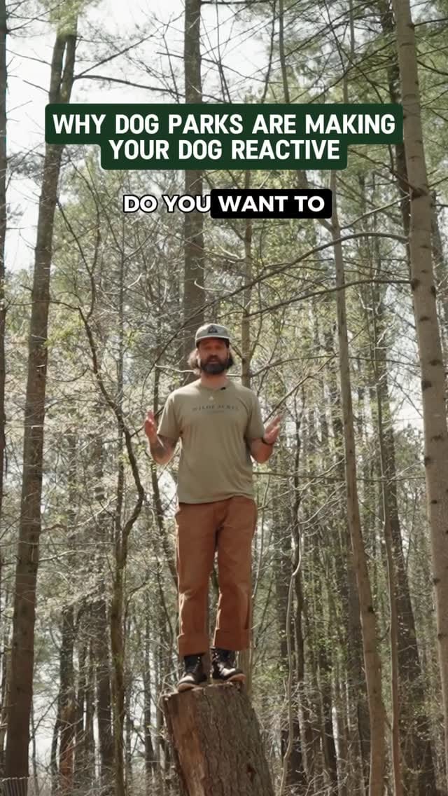 Post 2 by Carter 🐻 Wilde on Instagram (video)