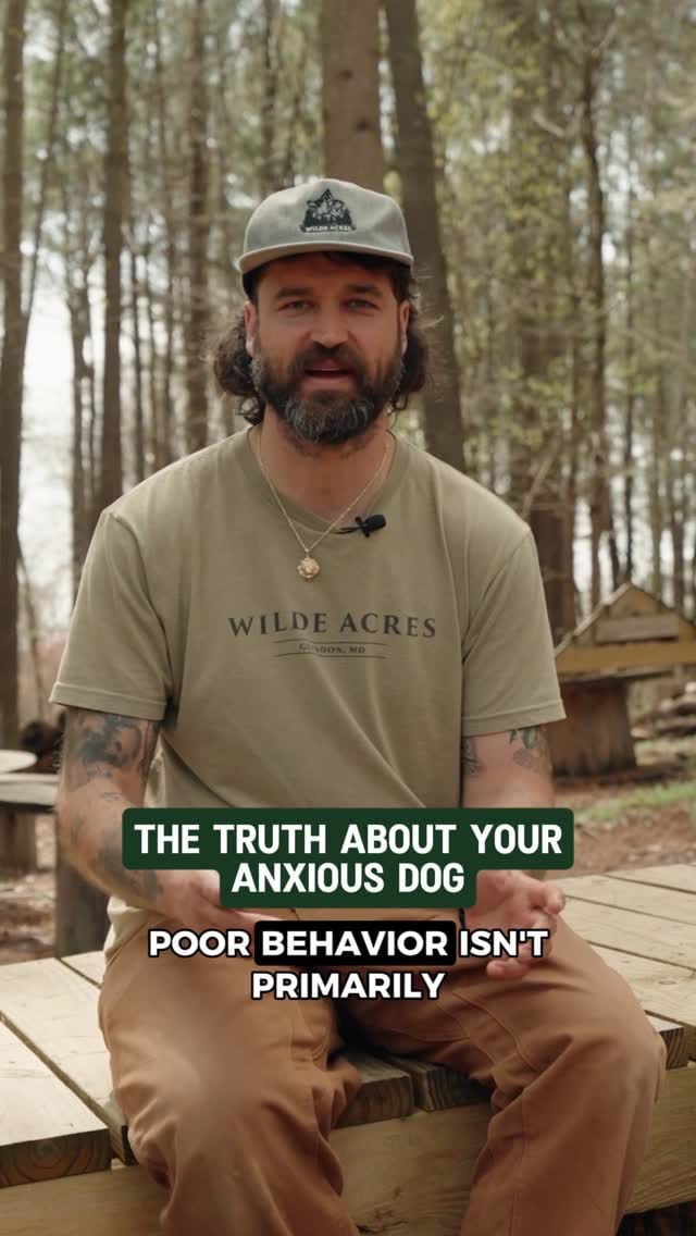 Post 3 by Carter 🐻 Wilde on Instagram (video)