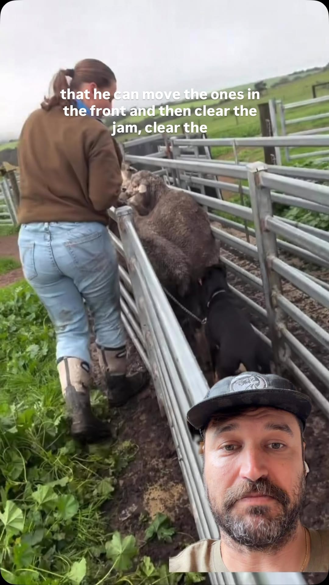 Post 5 by Carter 🐻 Wilde on Instagram (video)