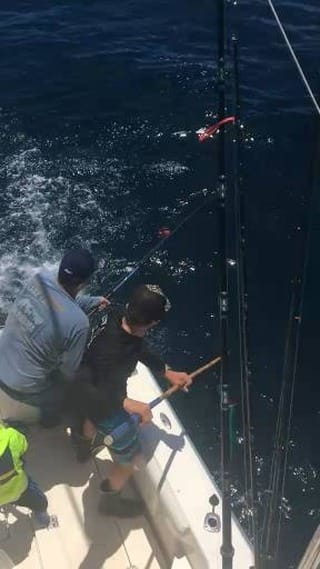 Post 9 by Clowers Fishing Charters on Instagram (video)